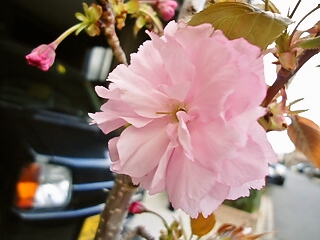 DSC04109.JPG