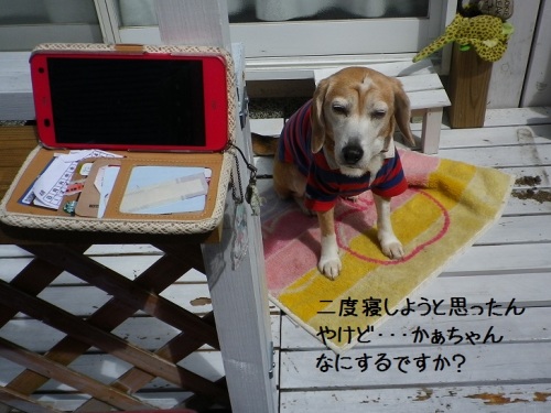 カンちゃんもドラえもん音頭踊るやんかです ｇｏｇｏ カンちゃん 楽天ブログ