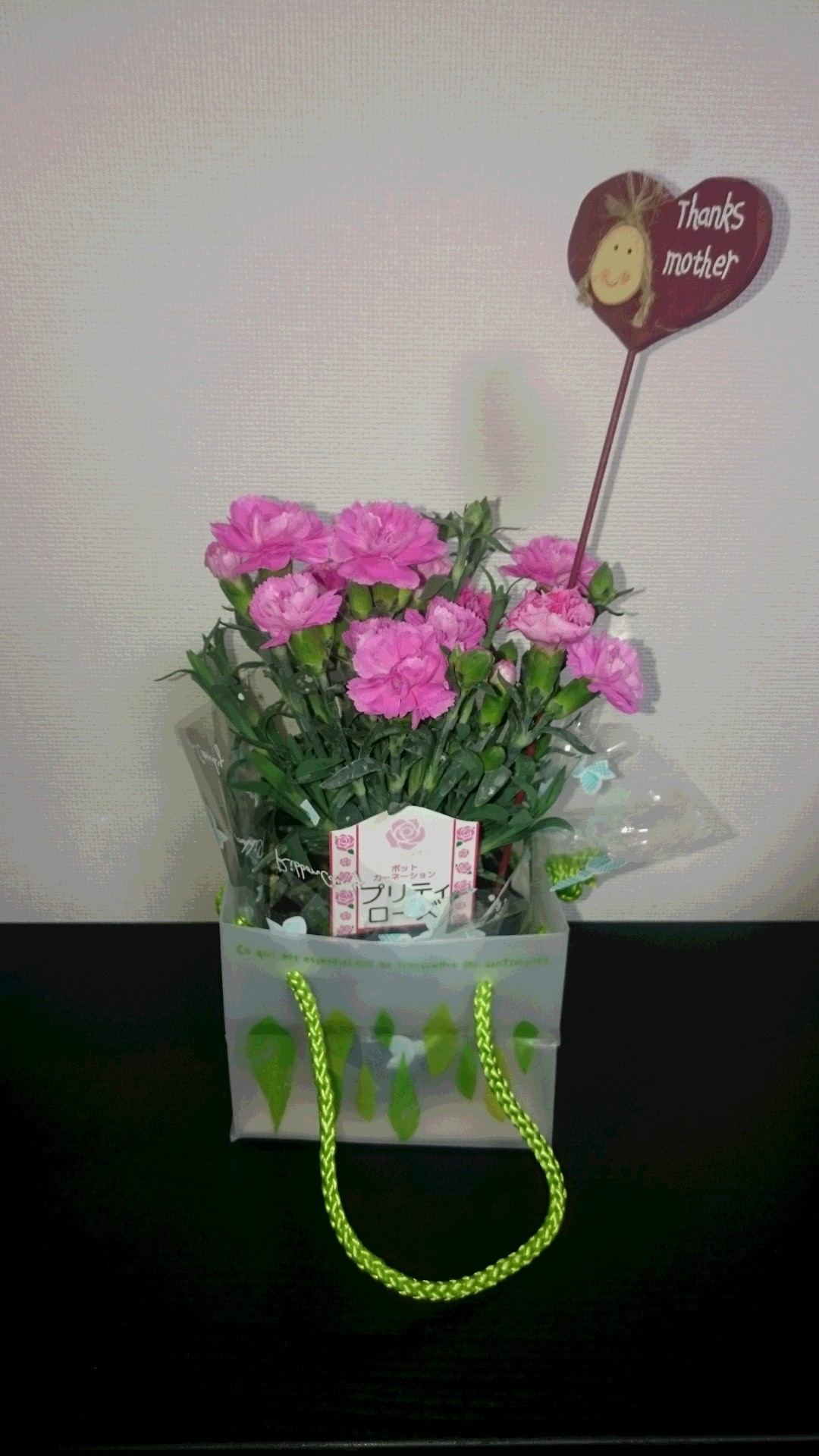 2017母の日.JPG