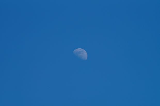 _DSC2305.JPG