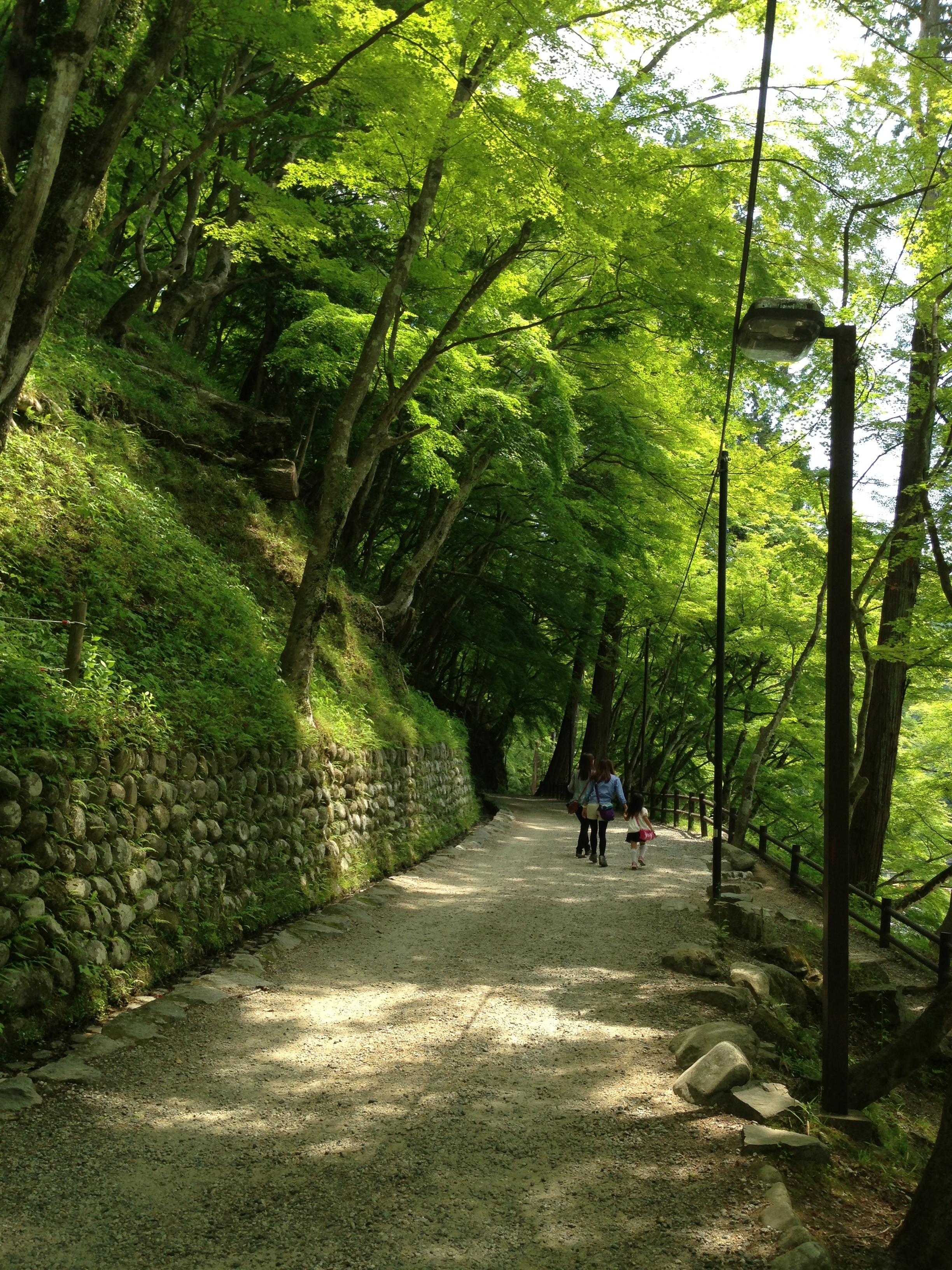 201305271038_8948_iphone.jpg