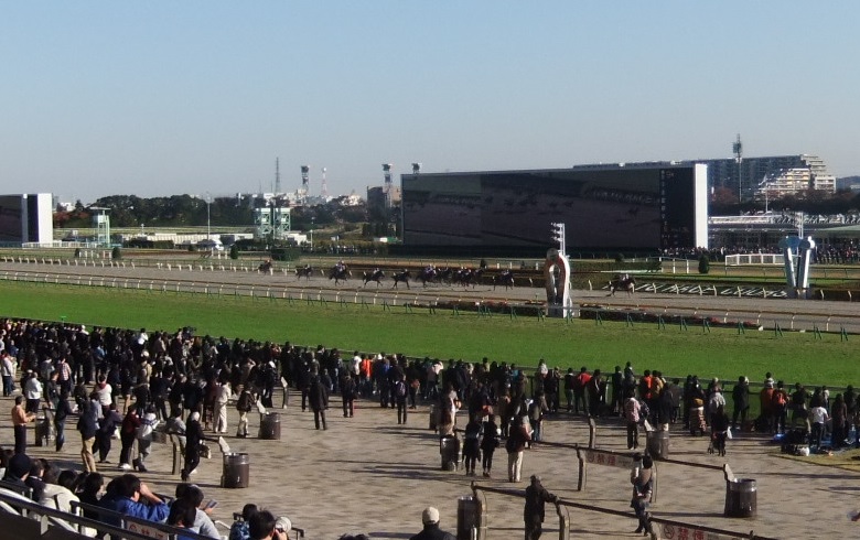 東京競馬場２20131123.JPG