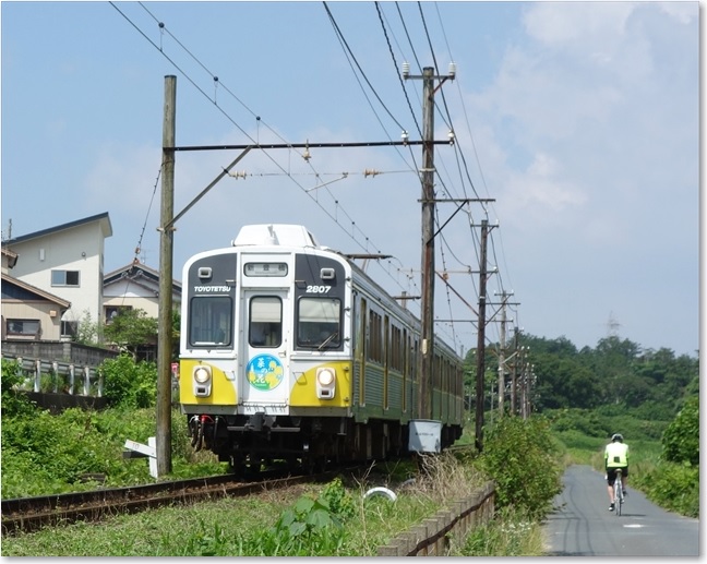 07【菜の花・2807号】