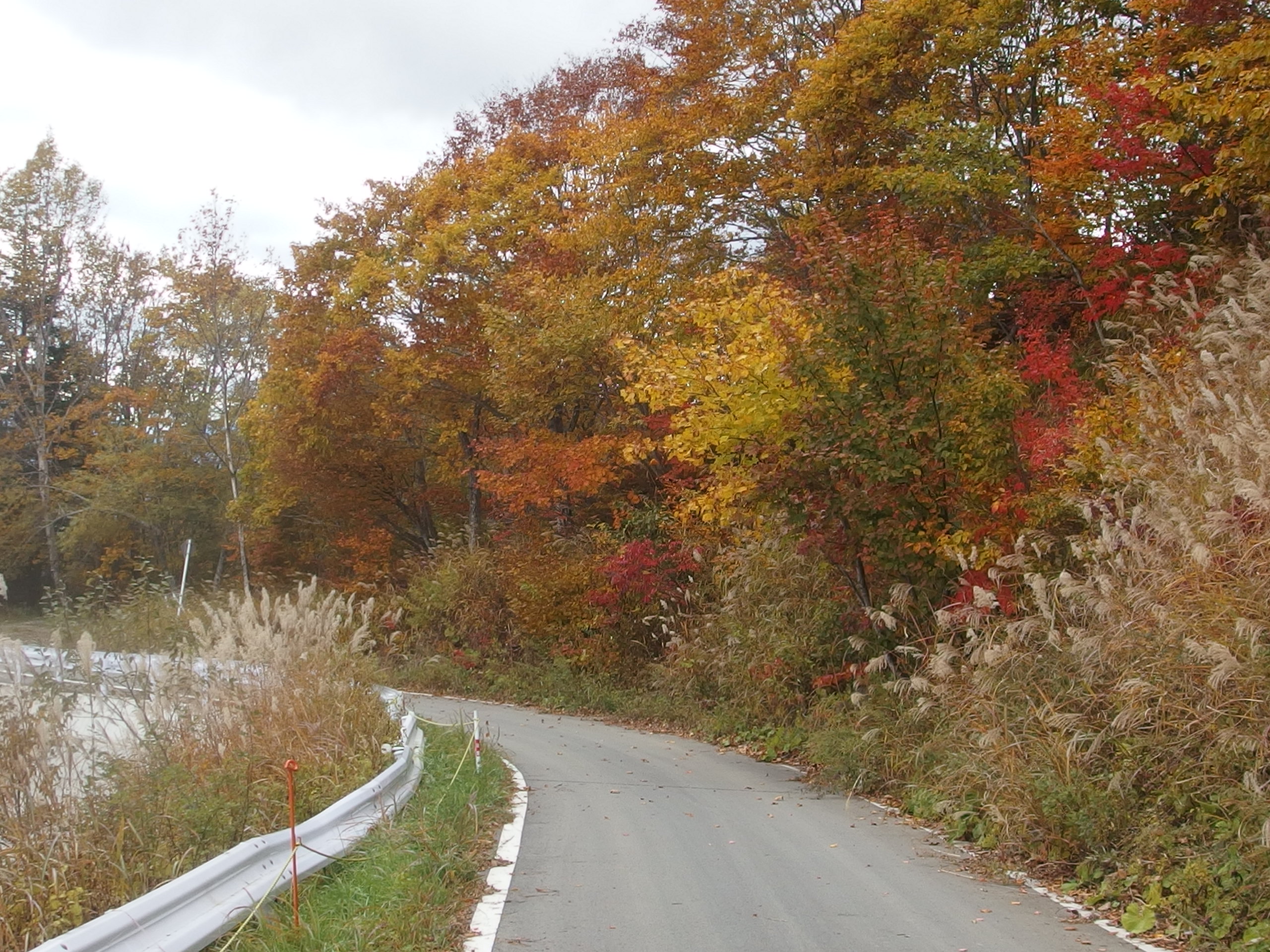 2015-10-13 11.14.14.jpg