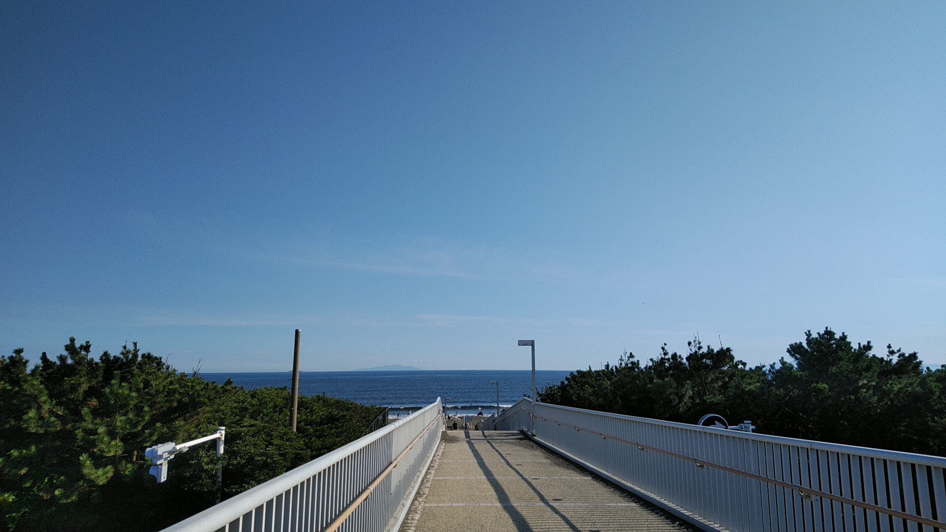 20190804  DSC_0002.jpg.jpg