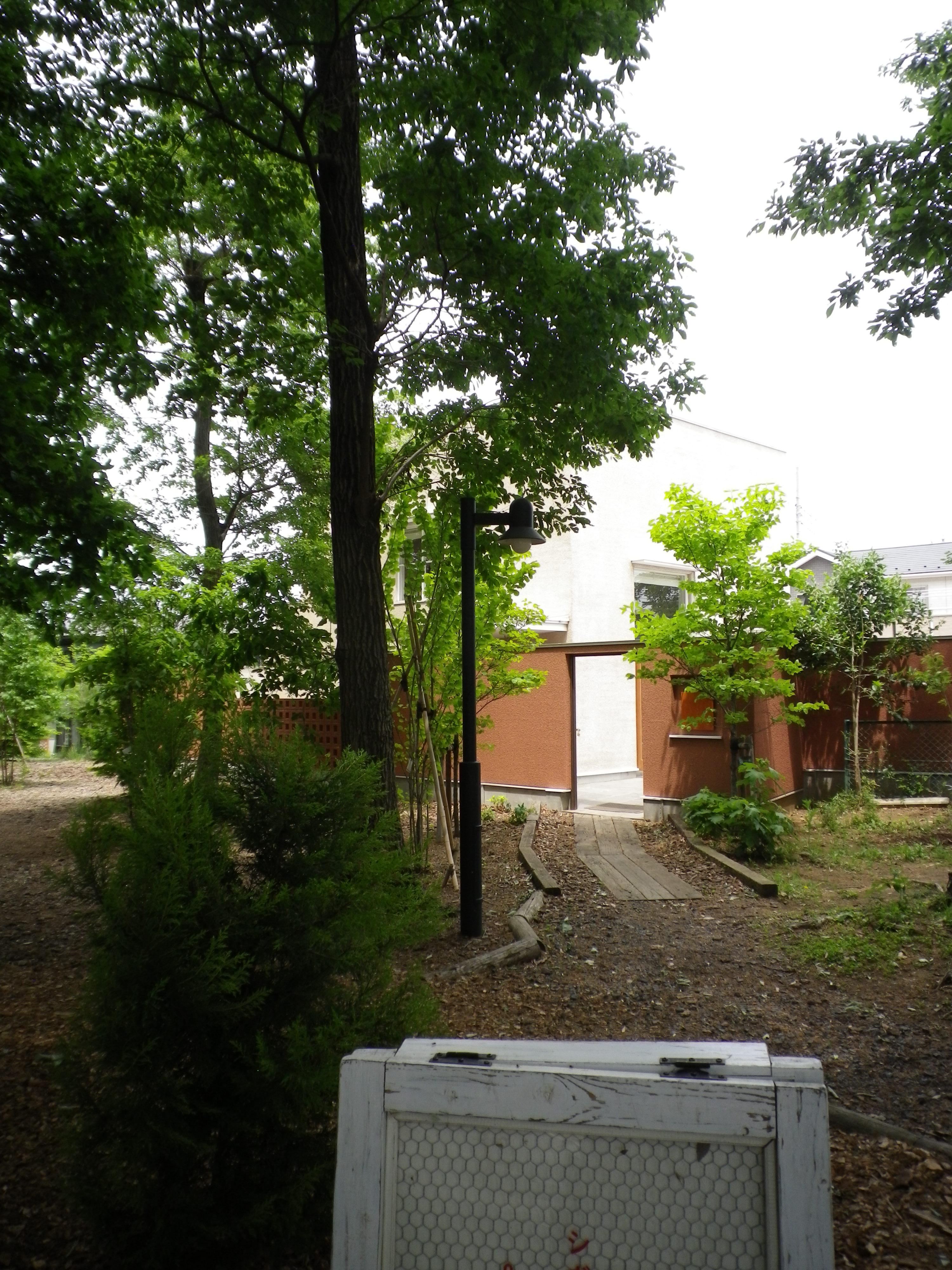 IMGP2482.JPG