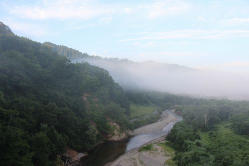 80214朝霧の白川500.jpg