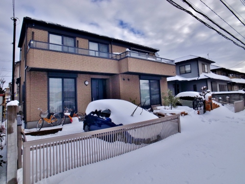 R0050787 (1024x768).jpg