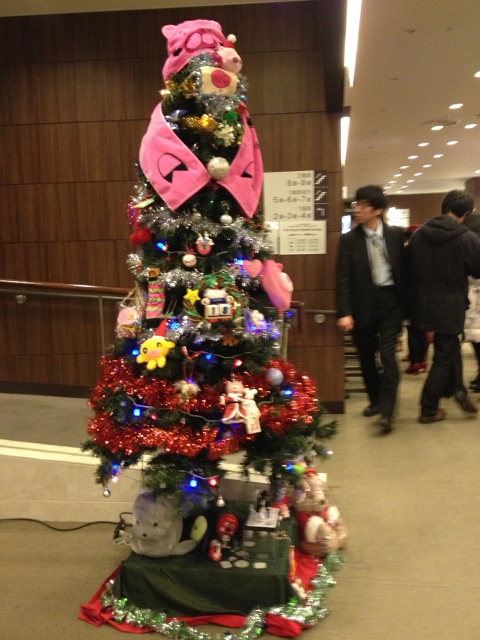 IMG_2479 (480x640).jpg