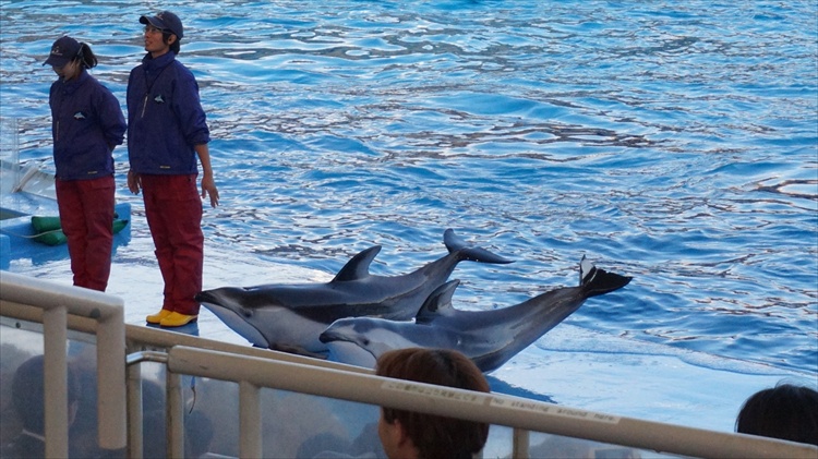 20151111 15355801.jpg