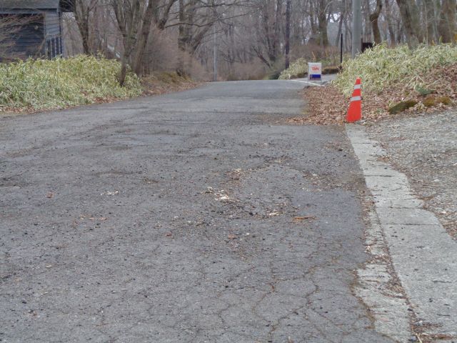 230310road.jpg