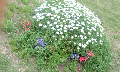 PA0_0278.JPG