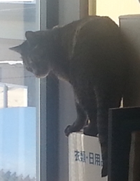 200 20140119_121008.jpg