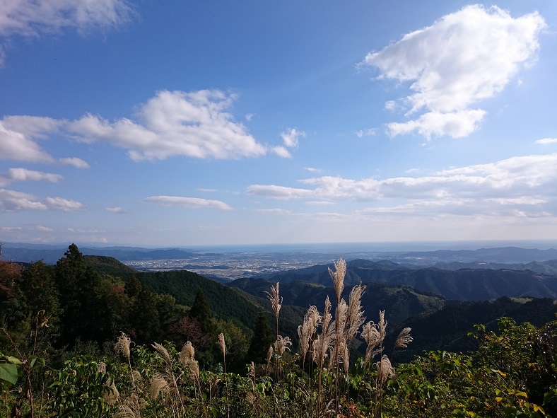 お山.jpg