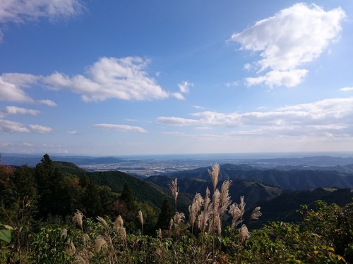 お山.jpg