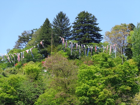 3花岡山遠景.JPG