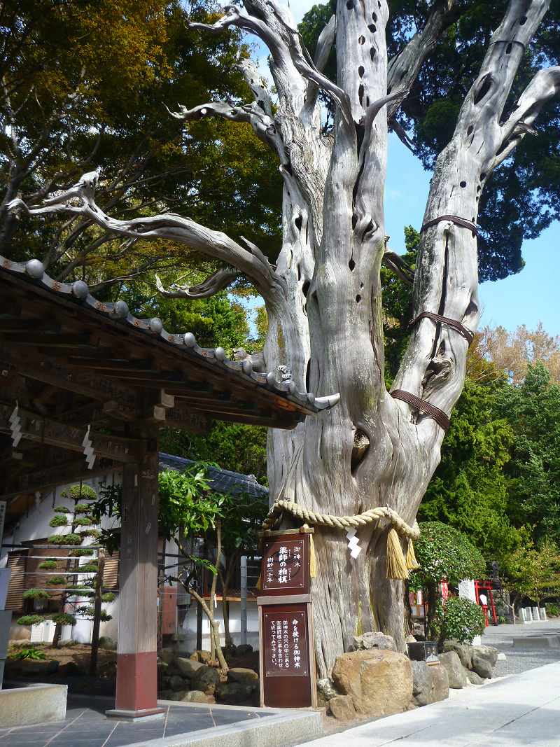 20141020 11172301.jpg