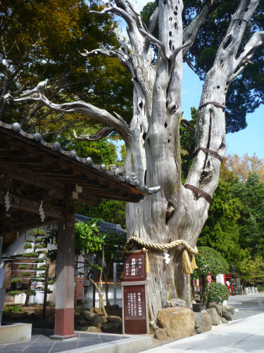 20141020 11172301.jpg