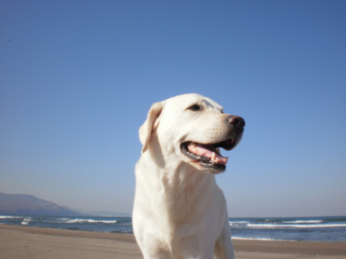 あおぞらをバックに