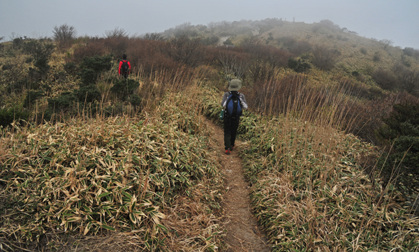 DSC_4506山頂への道.jpg