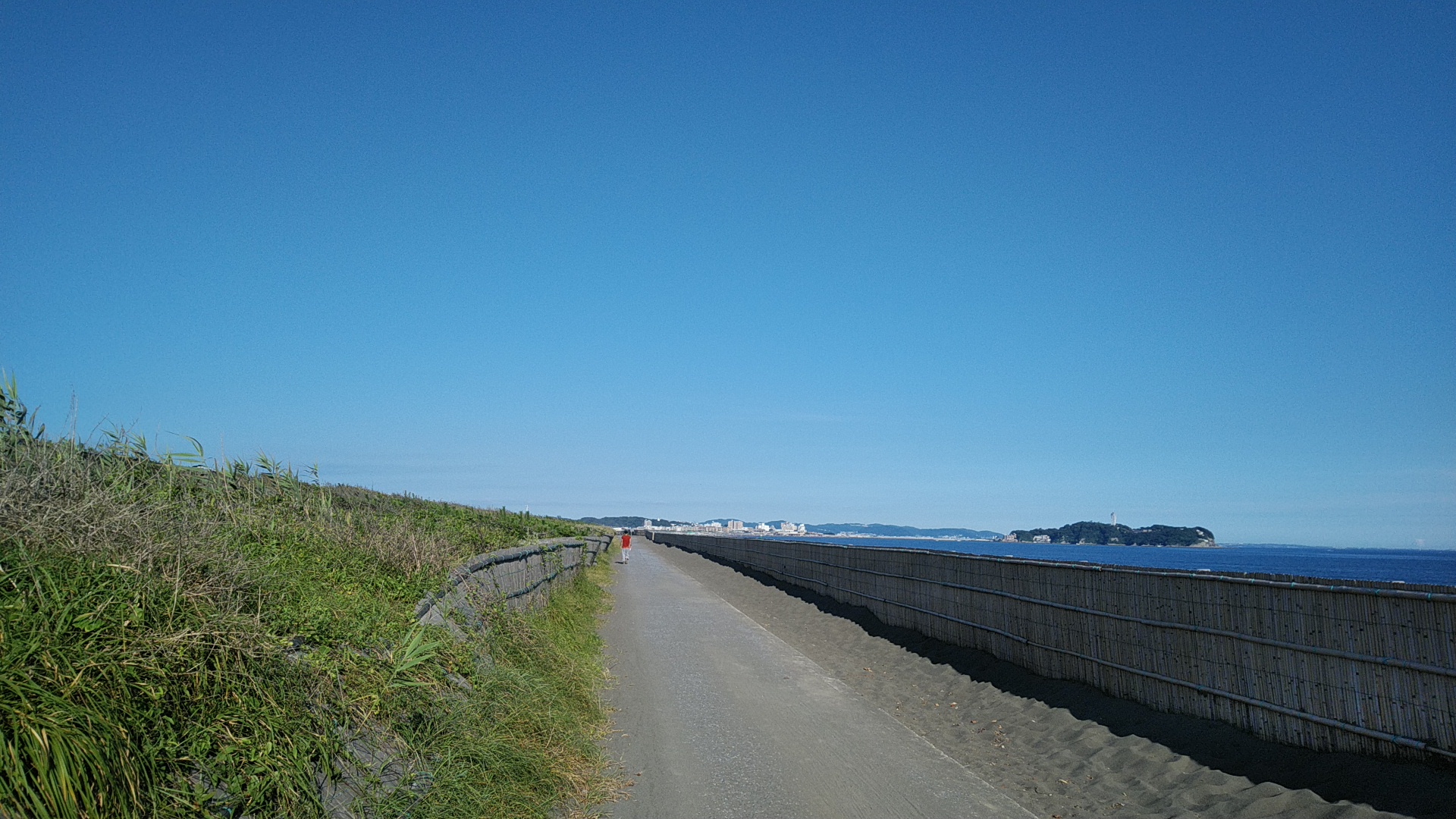 20190804  DSC_0004.jpg.jpg