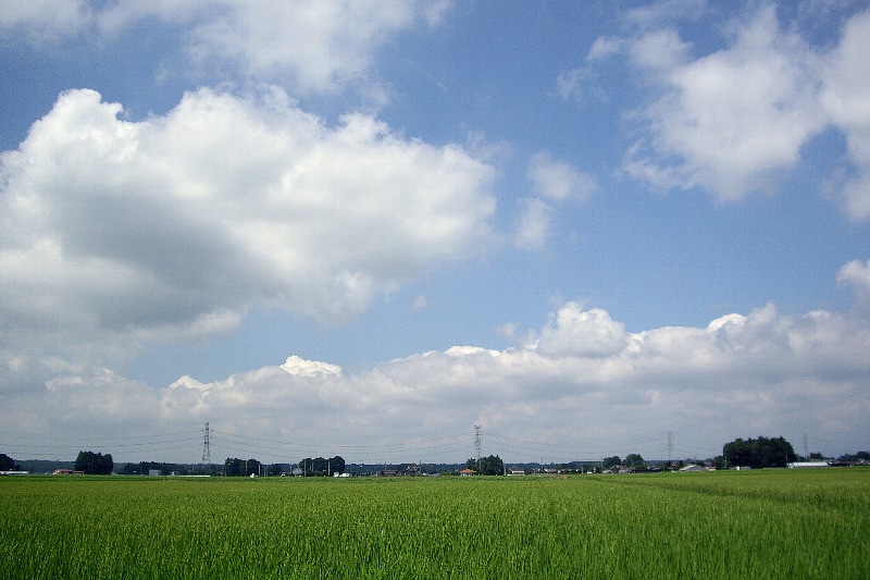 0729-1.jpg