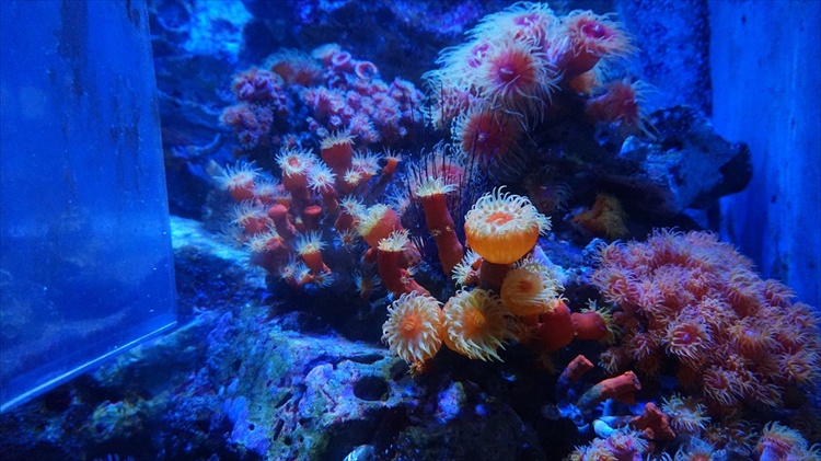 20151111 16131701.jpg