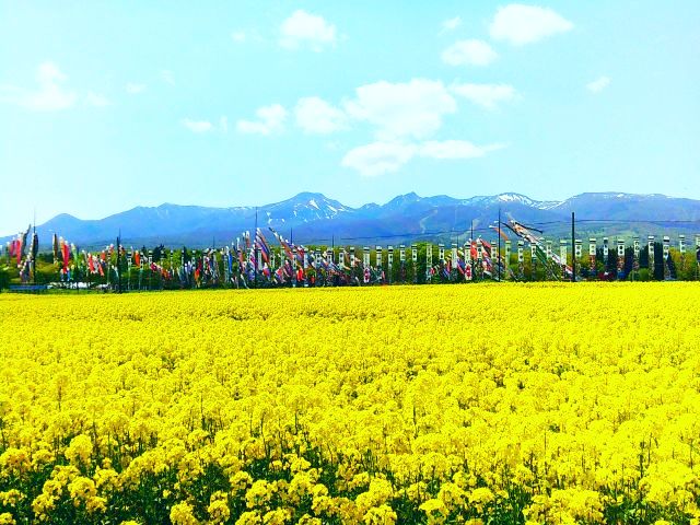 250509hartfullfarm3.jpg