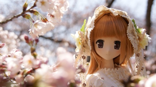 京都植物園　桜と陽菜ちゃん2.jpg