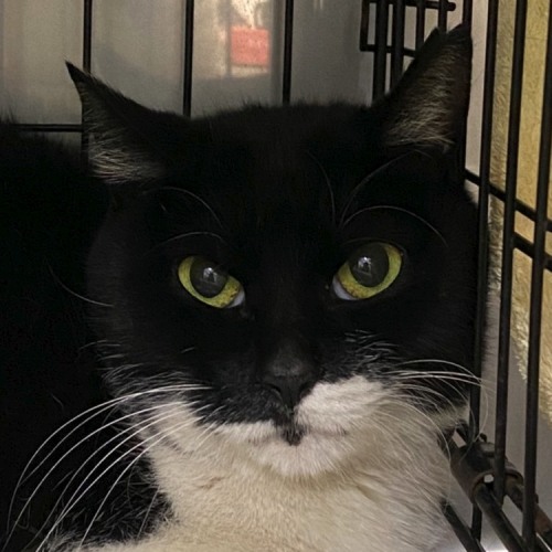 家族紹介用画像フォルダ