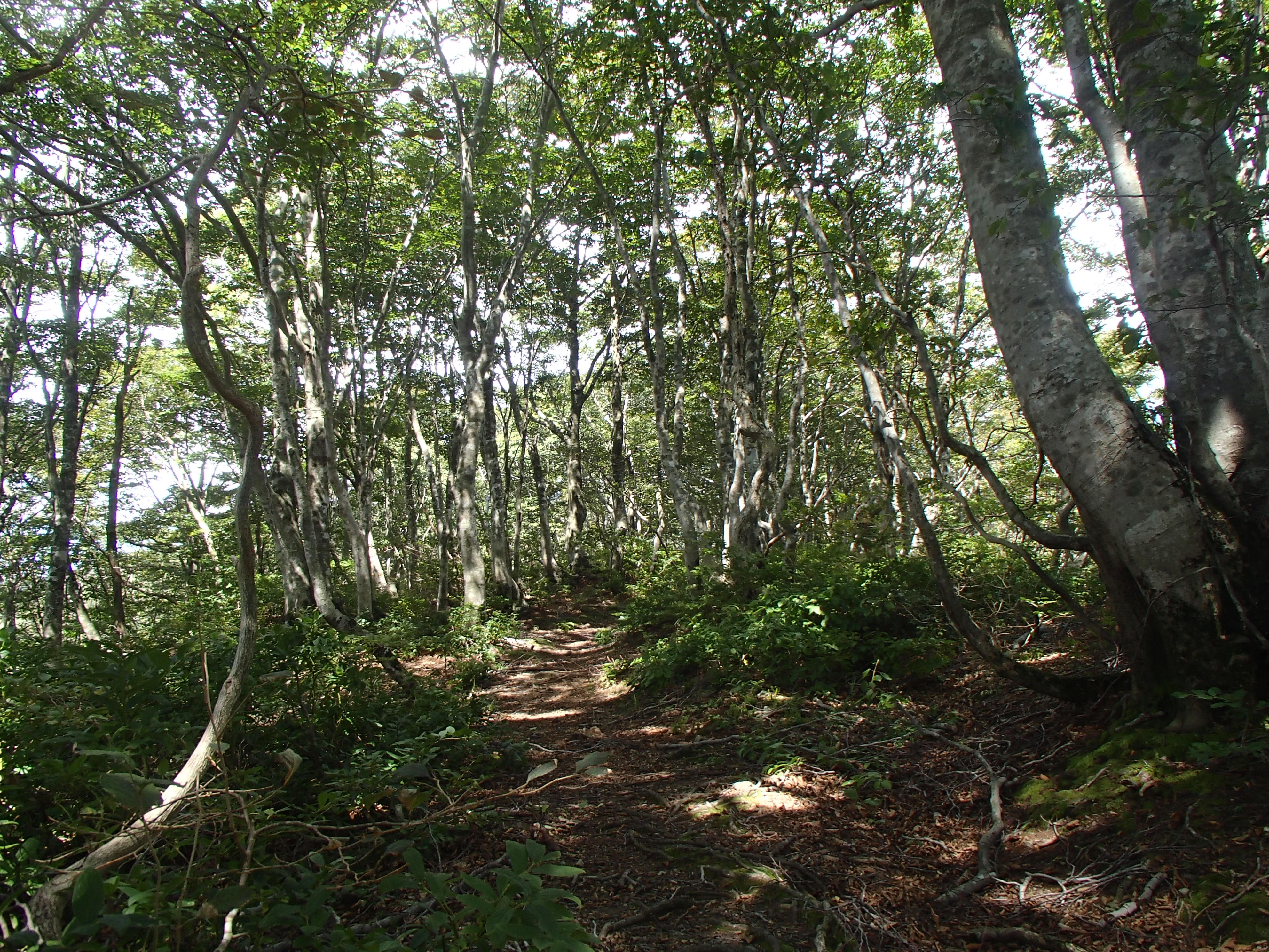 P9210291.JPG