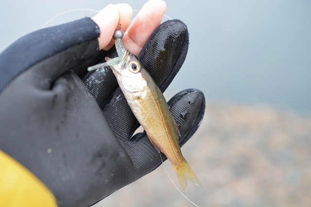 showPhoto (640×426)