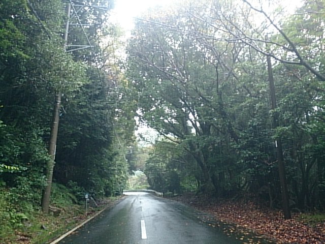 20161017  DSC_0002.jpg