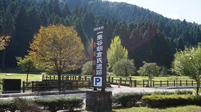 20150915 09533701.jpg