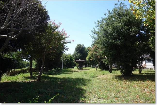 41なかなか広いです