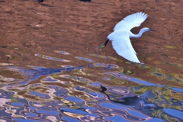 CJ9I1340 (640x428).jpg