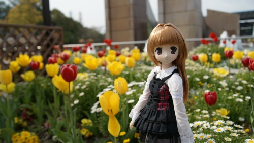 木曽三川公園チューリップ  陽菜ちゃん 2.jpg