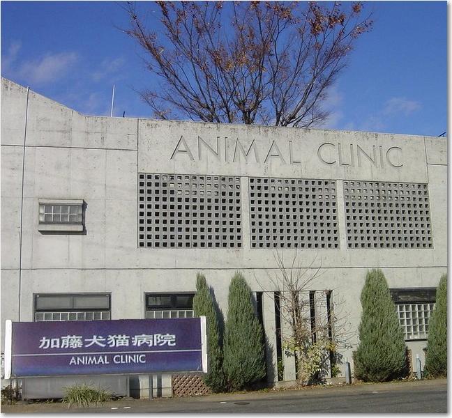 コピー ～ 26駅前犬猫病院.JPG