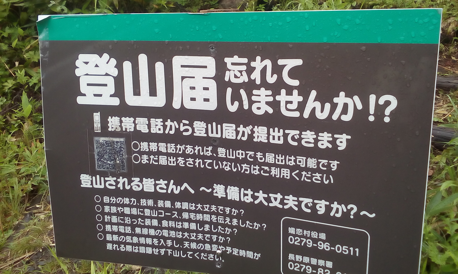 IMG_20160820_090901.jpg