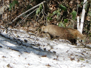 IMGP0730.jpg