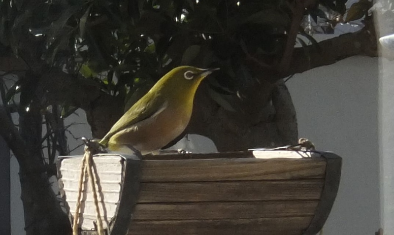 DSCF6862 (800x477).jpg