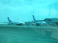 96.jpg