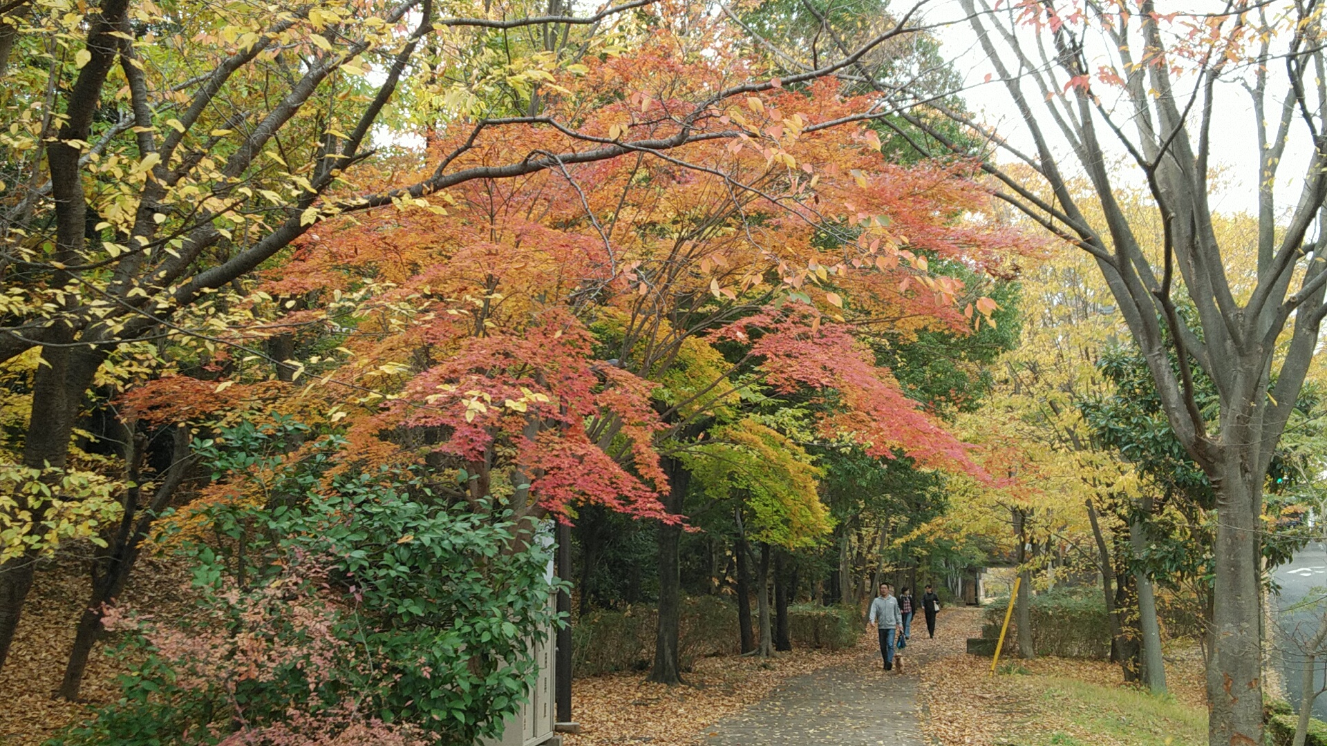 20221126  DSC_0002.jpg