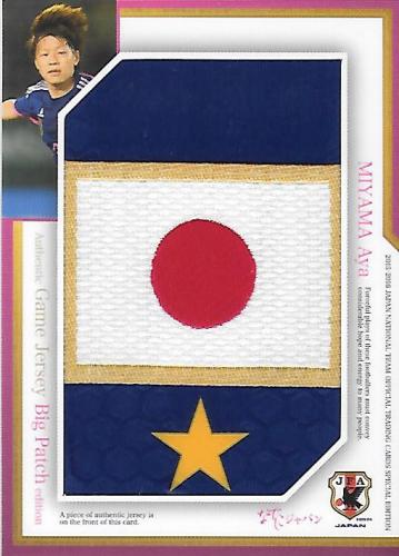 2015-2016JapanNationalTeamSE_JCP23_Miyama_Aya_Patch_24.jpg