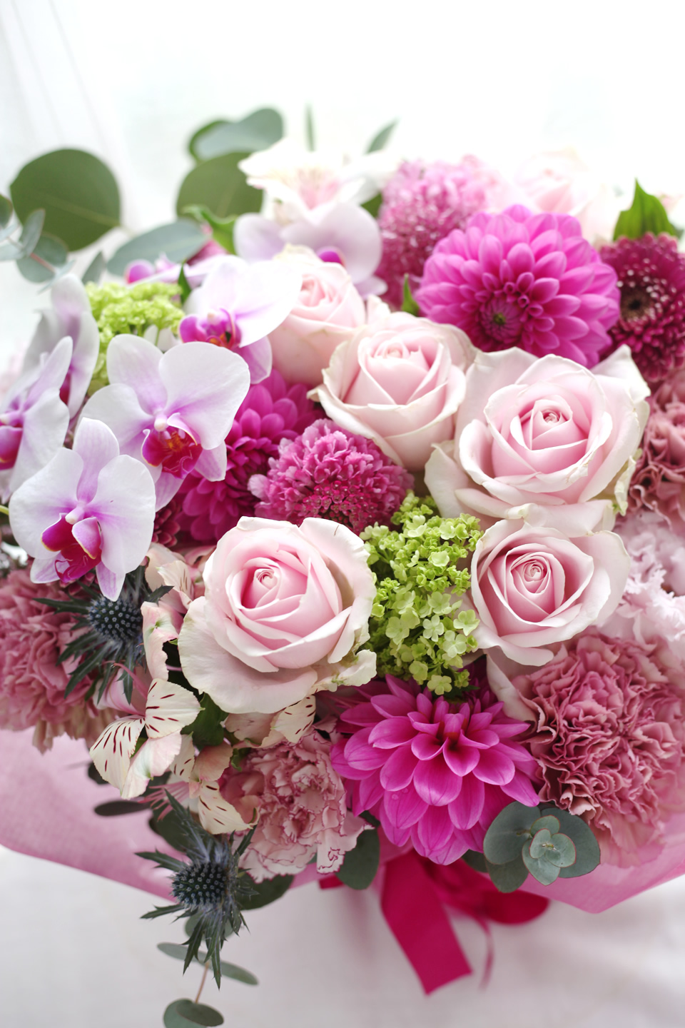 pink11000-113.jpg