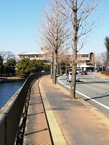 20190217-10_水城公園-1.jpg