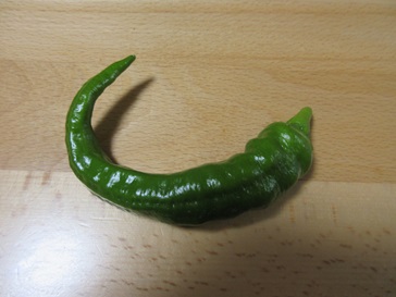 万願寺とうがらし.jpg