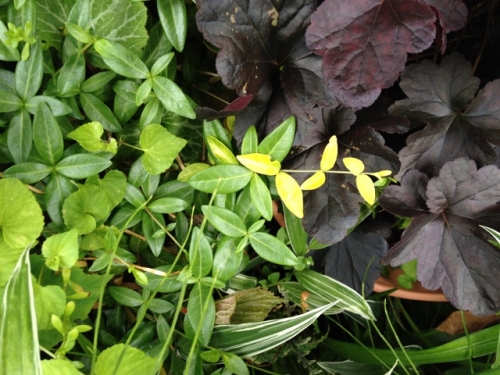 IMG_9191 (640x480).jpg