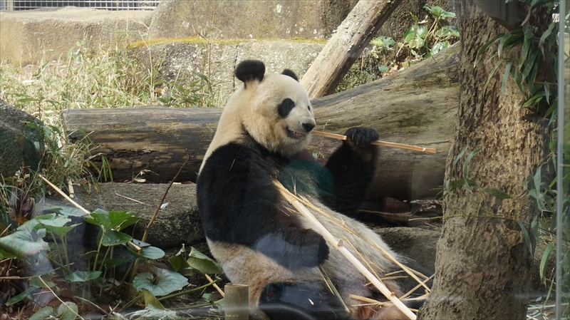 20150318 14083601.JPG