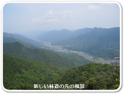 中深川（新しい林道の先）_5856.jpg